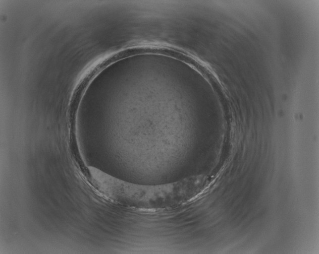 X0000084531319200703091618