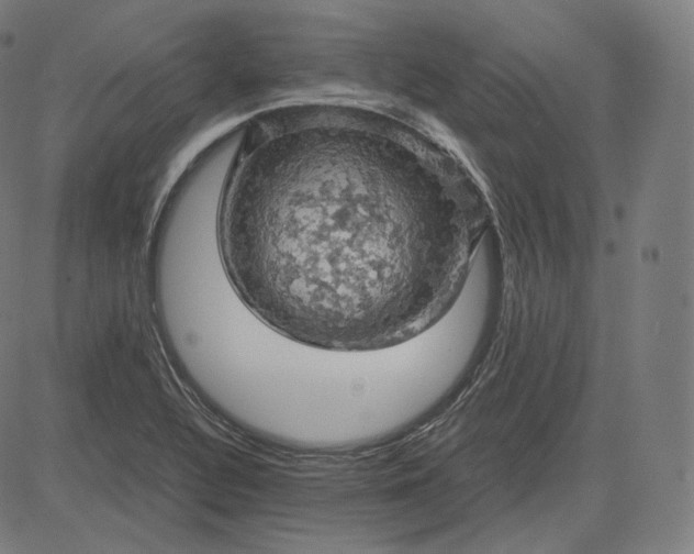 X0000084531320200703091618