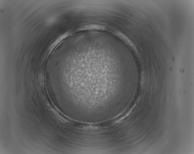 X0000084531321200703091618