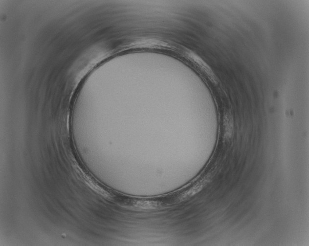 X0000084531322200703091618