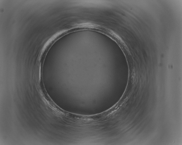 X0000084531323200703091618