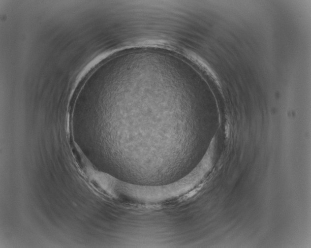 X0000084531324200703091618