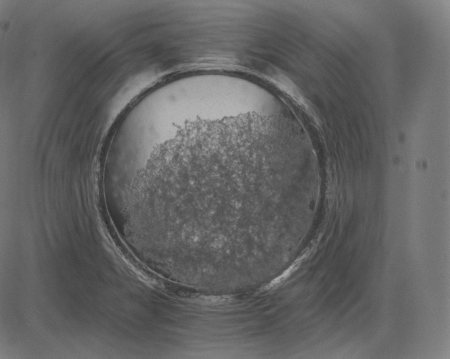 X0000084531325200703091618