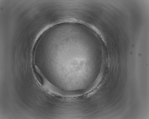 X0000084531326200703091618