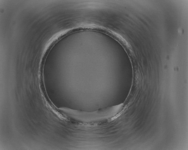 X0000084531327200703091618