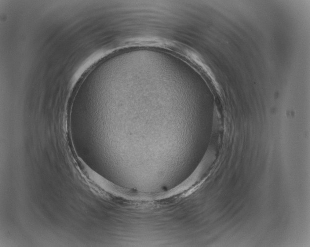 X0000084531328200703091618