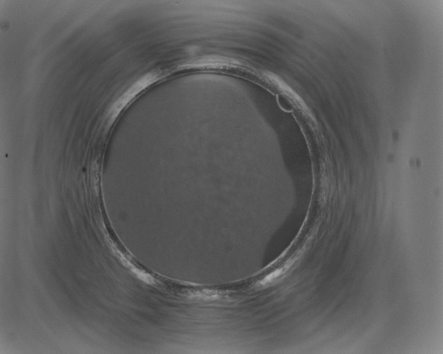 X0000084531329200703091618