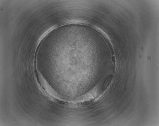 X0000084531330200703091618