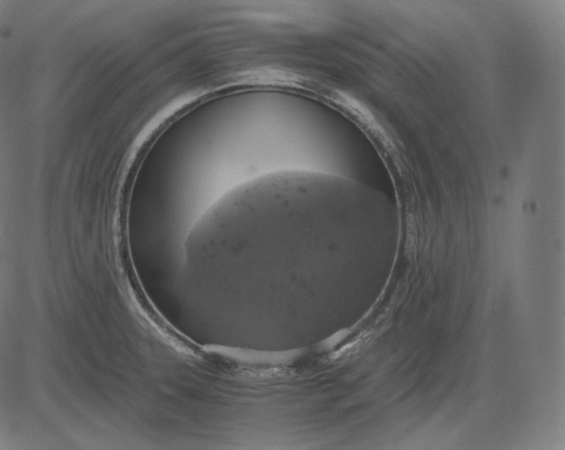 X0000084531331200703091618