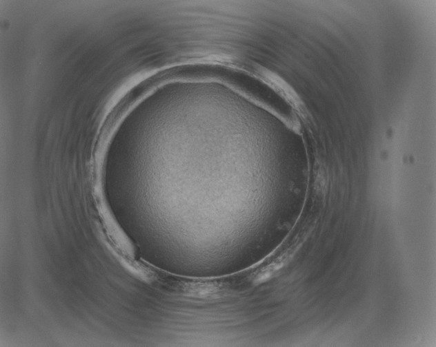 X0000084531332200703091618