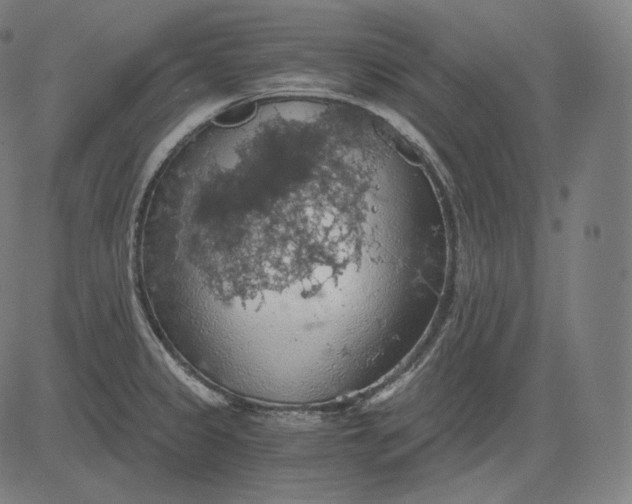 X0000084531333200703091618