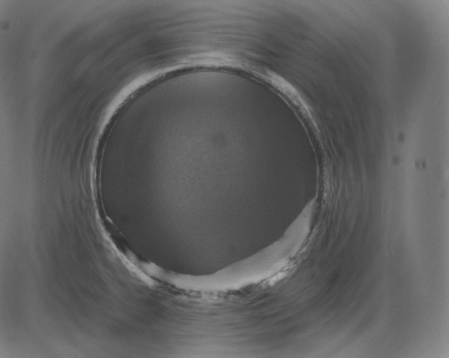 X0000084531334200703091618