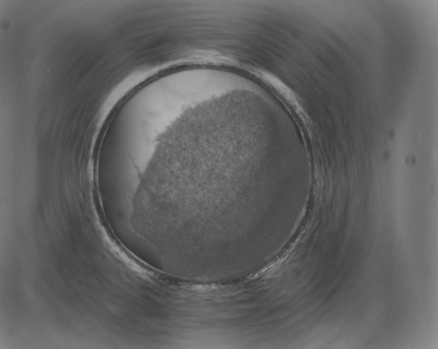 X0000084531335200703091618