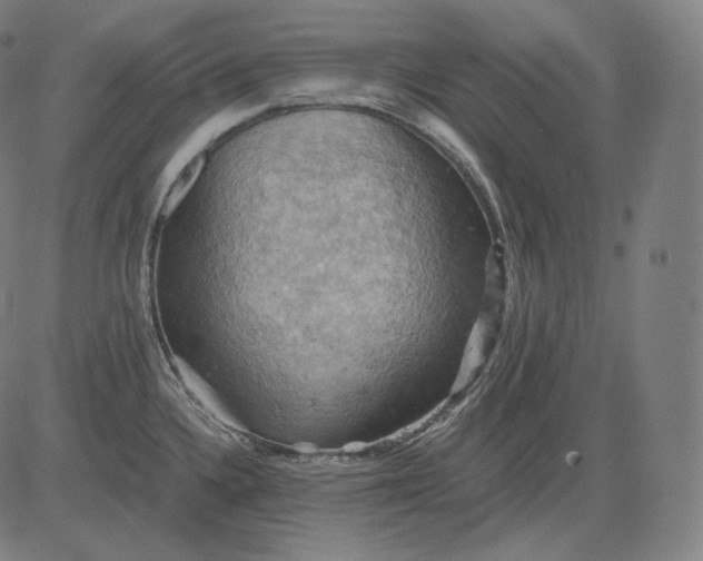 X0000084531336200703091618