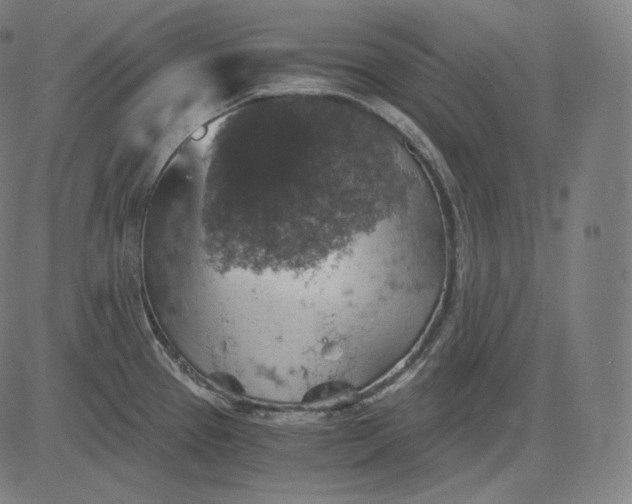 X0000084531337200703091618