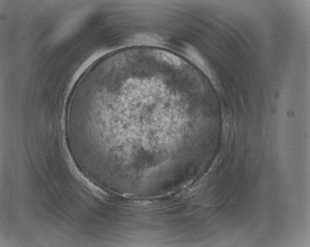 X0000084531339200703091618