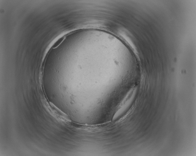 X0000084531340200703091618