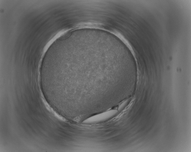 X0000084531341200703091618