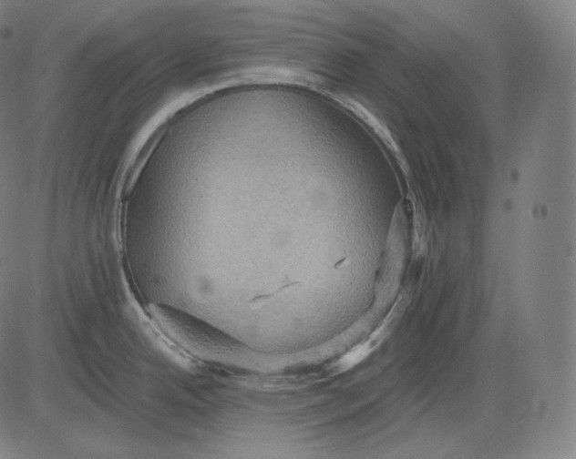 X0000084531342200703091618