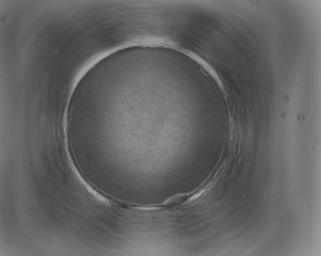 X0000084531343200703091618