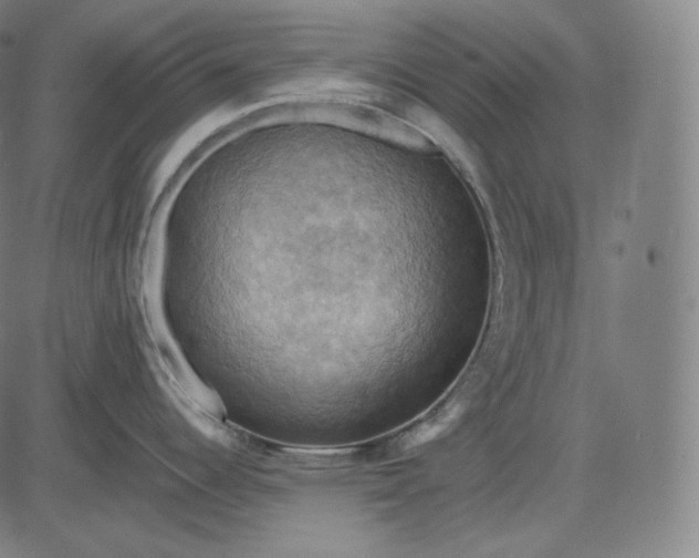 X0000084531344200703091618