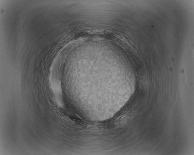 X0000084531345200703091617