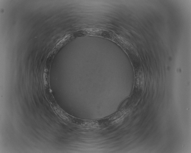 X0000084531346200703091617