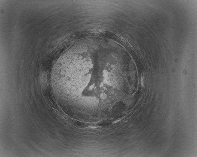 X0000084531347200703091617