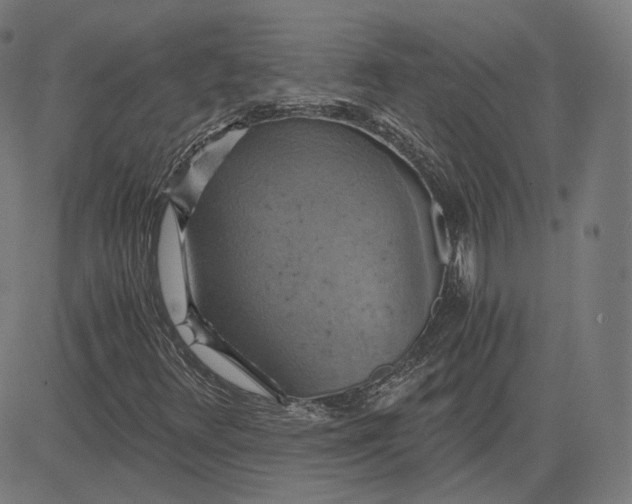 X0000084531348200703091617