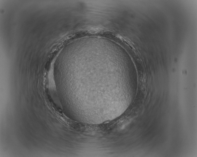 X0000084531349200703091617