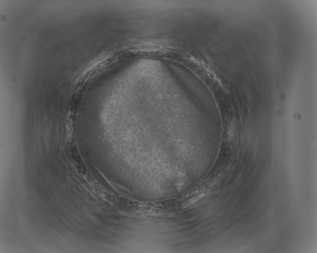 X0000084531350200703091617