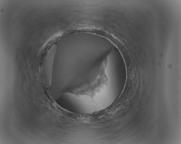 X0000084531351200703091617