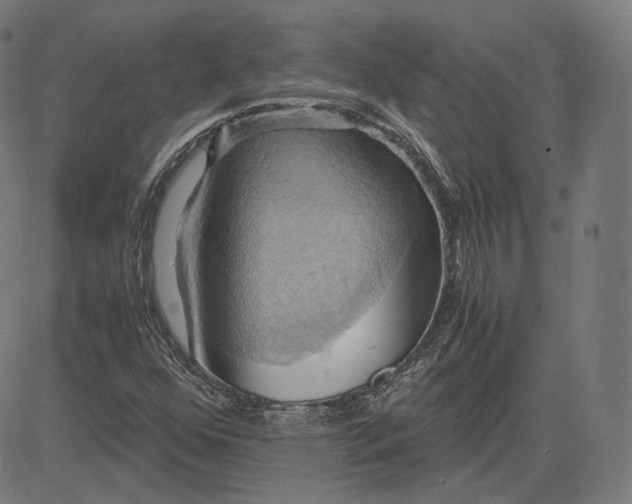 X0000084531352200703091617