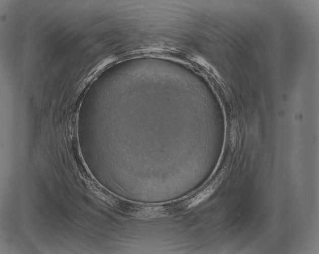 X0000084531353200703091617