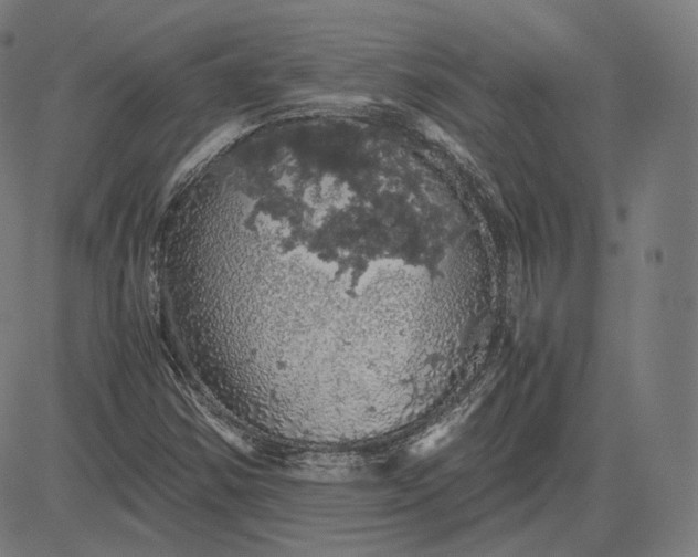 X0000084531354200703091617