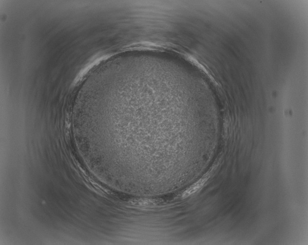 X0000084531355200703091617