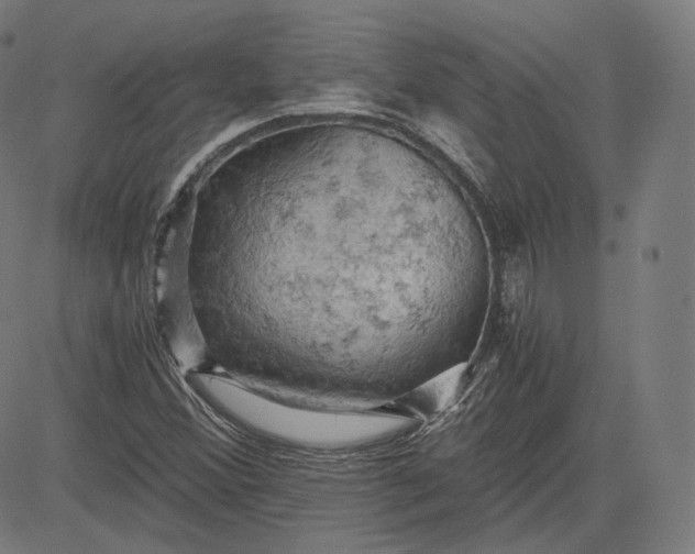 X0000084531356200703091617