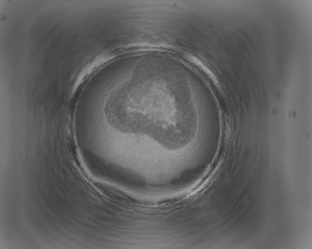 X0000084531357200703091617