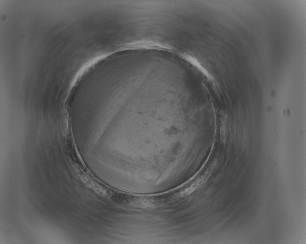 X0000084531358200703091617