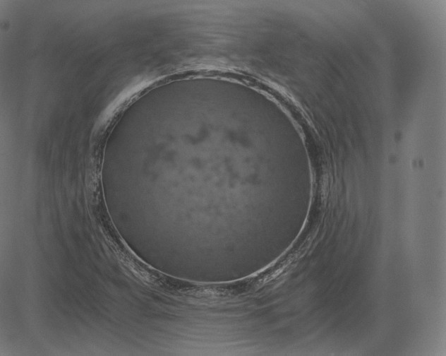 X0000084531359200703091617