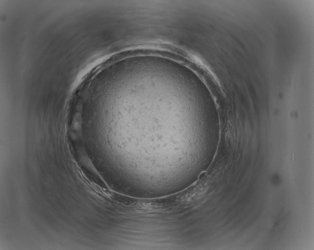 X0000084531360200703091617