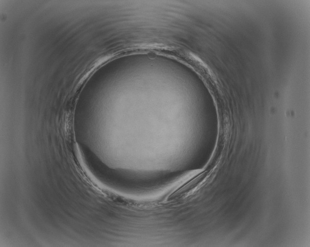 X0000084531361200703091617