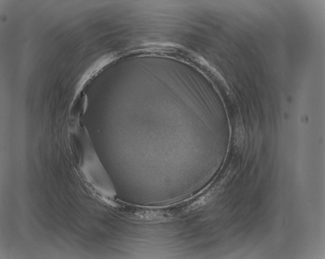 X0000084531362200703091617