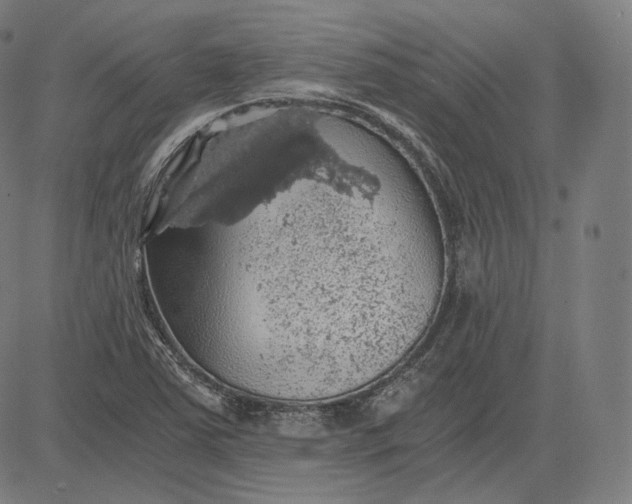 X0000084531363200703091617