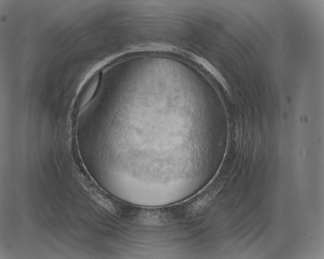 X0000084531364200703091617