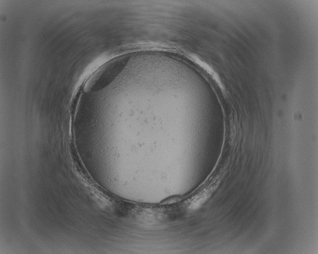 X0000084531365200703091617