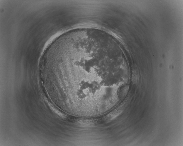 X0000084531366200703091617