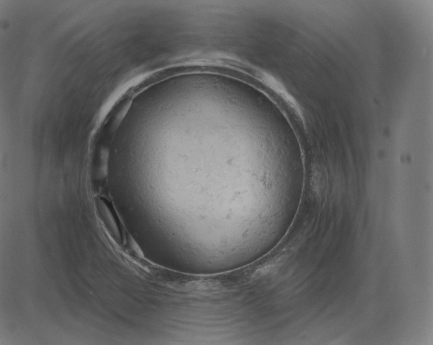 X0000084531368200703091617