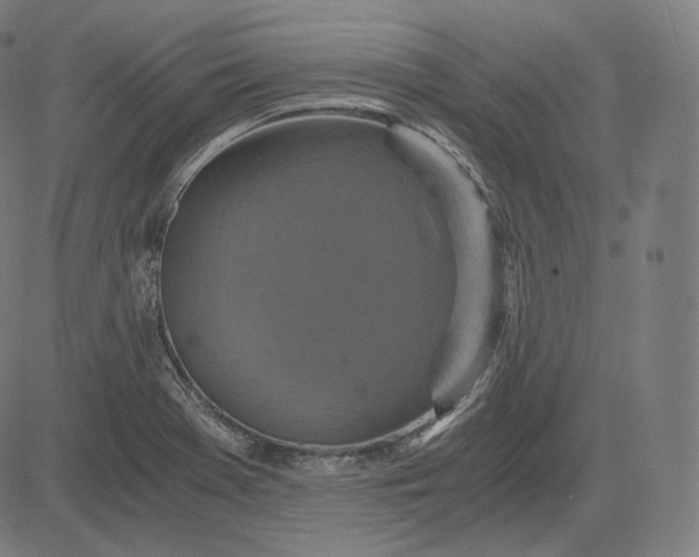 X0000084531369200703091617