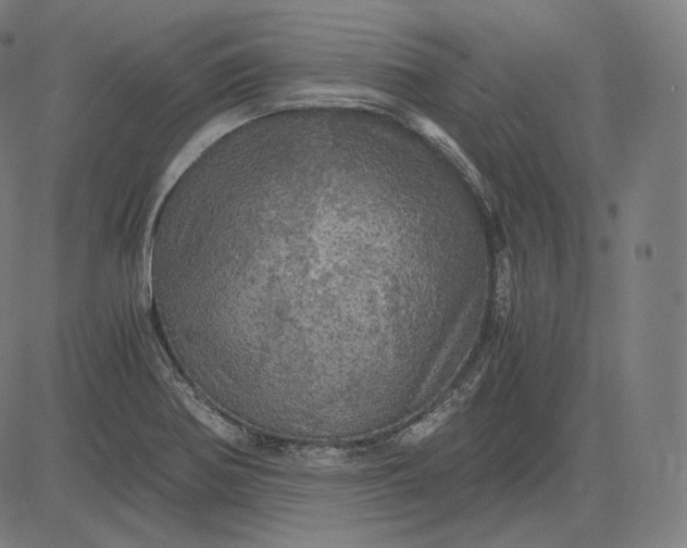 X0000084531370200703091617